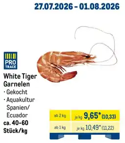 METRO White Tiger Garnelen Angebot
