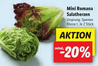 Lidl Mini Romana Salatherzen Angebot