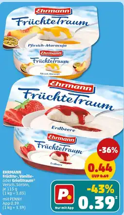 PENNY Ehrmann FrüchteTraum Erdbeere Angebot
