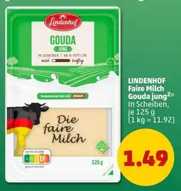 PENNY LINDENHOF Gouda jung Angebot