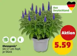 PENNY Ehrenpreis* Angebot