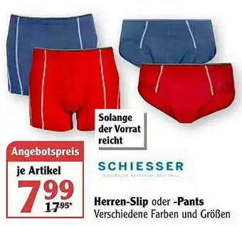 Globus Herren Slip Oder Pants Angebot