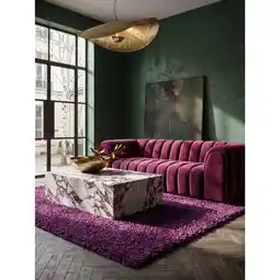 Netto Marken-Discount Hochflorteppich RHEIN, einfarbig, aus Polypropylen, Violett, 200 x 290 cm Angebot