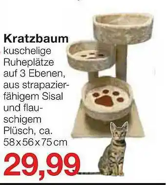 Jawoll Kratzbaum Angebot