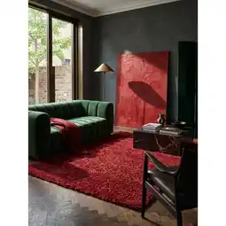 Netto Marken-Discount Hochflorteppich RHEIN, einfarbig, aus Polypropylen, Rot, 240 x 340 cm Angebot
