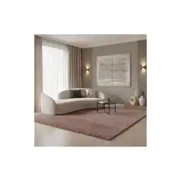 Netto Marken-Discount Hochflorteppich SALZACH, einfarbig, aus Polypropylen, Rosa, 200 x 290 cm Angebot