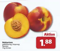 Famila Nord West Nektarinen Angebot