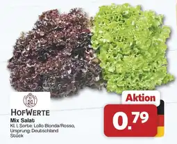 Famila Nord West HOFWERTE Mix Salat Angebot