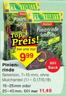 Wiglo Wunderland FIGREEN Pinienrinde Selektion Angebot