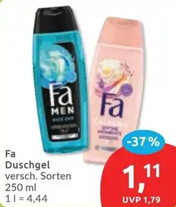 Budni Fa Duschgel Angebot