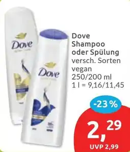 Budni Dove Shampoo oder Spülung Angebot