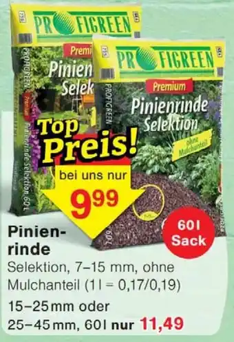 Pinienrinde Selektion
