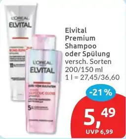 Budni Elvital Premium Shampoo oder Spülung Angebot