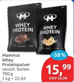 Budni Mammut Whey Proteinpulver Angebot
