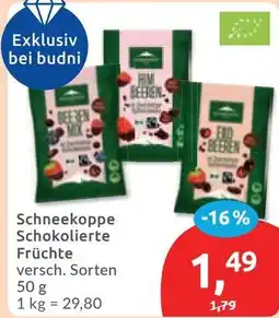Budni Schneekoppe Schokolierte Früchte Angebot