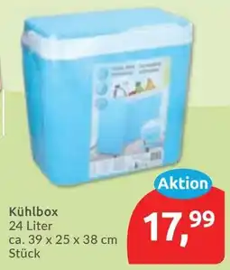 Budni Kühlbox Angebot