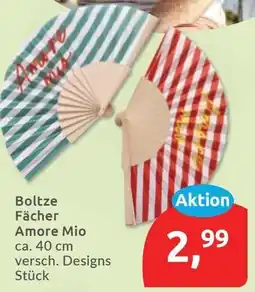 Budni Boltze Fächer Amore Mio Angebot