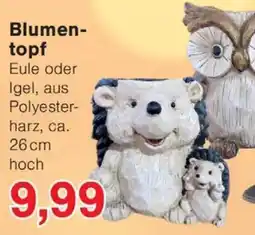 Wiglo Wunderland Blumentopf Eule oder Igel Angebot