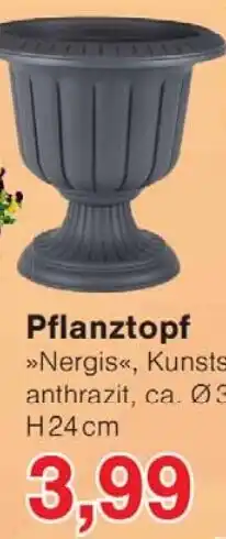 Wiglo Wunderland Pflanztopf Angebot
