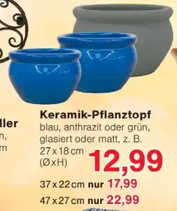 Jawoll Keramik-Pflanztopf Angebot