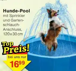 Wiglo Wunderland Hunde-Pool mit Sprinkler und Garten-schlauch-Anschluss Angebot