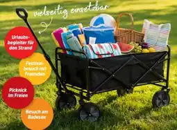 Thomas Philipps Faltbarer Bollerwagen Angebot