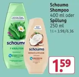 Rossmann Schauma Shampoo Angebot