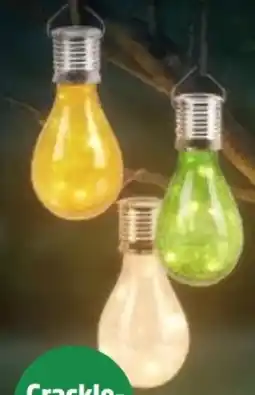 Thomas Philipps Solar Glühbirne Angebot