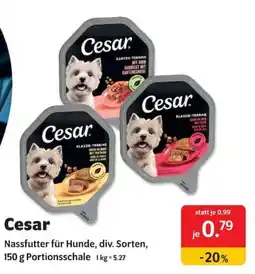 Das Futterhaus Cesar Nassfutter für Hunde Angebot