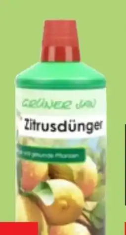 Thomas Philipps Grüner Jan Zitrusdünger Angebot