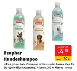 Das Futterhaus Beaphar Hundeshampoo Angebot