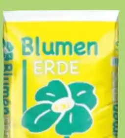 Thomas Philipps Blumenerde Angebot
