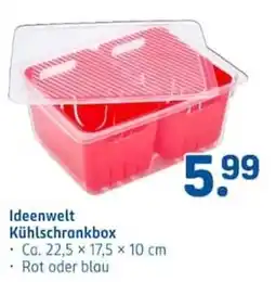 Rossmann Ideenwelt Kühlschrankbox Angebot