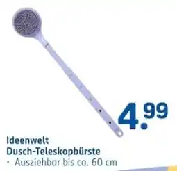 Rossmann Ideenwelt Dusch-Teleskopbürste Angebot