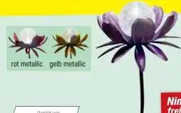 toom Baumarkt Toom Solar-Dekolicht Blume Angebot