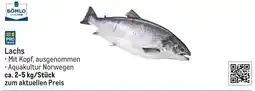 METRO BÖMLO Lachs Angebot
