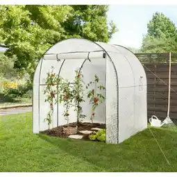 toom Baumarkt Foliengewächshaus Rudi Angebot