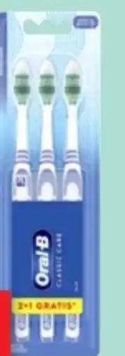 Thomas Philipps Oral-B Zahnbürsten Angebot