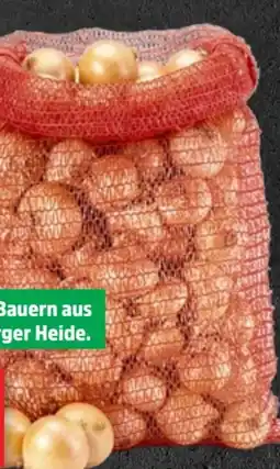 Thomas Philipps Speisezwiebeln XXL Angebot