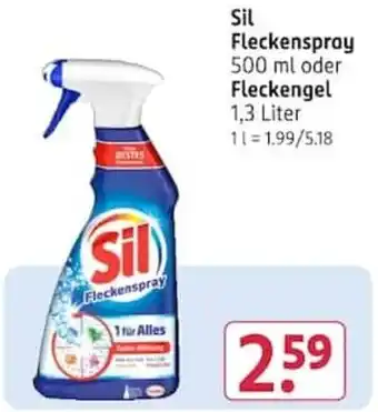 Rossmann Sil Fleckenspray Angebot