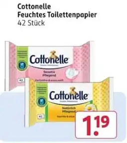 Rossmann Cottonelle Feuchtes Toilettenpapier Angebot