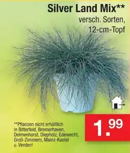Zimmermann Silver Land Mix** Angebot