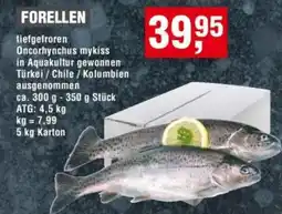 Handelshof FORELLEN Angebot