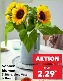 Kaufland Sonnenblumen Angebot