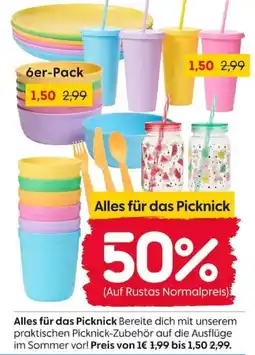 Rusta Alles für das Picknick Angebot