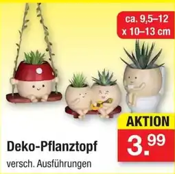 Zimmermann Deko-Pflanztopf Angebot