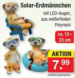 Zimmermann Solar-Erdmännchen Angebot