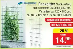 Zimmermann Prosperplast Rankgitter Stecksystem Angebot