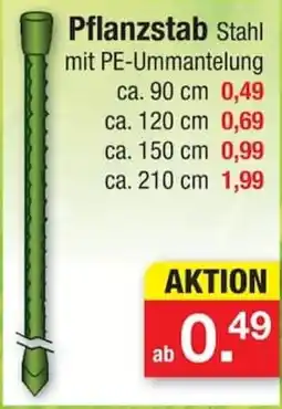 Zimmermann Pflanzstab Stahl mit PE-Ummantelung Angebot