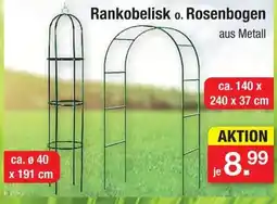 Zimmermann Rankobelisk o. Rosenbogen Angebot
